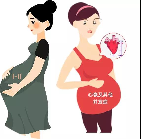 深圳供卵试管成功率看孕宝国际榜首