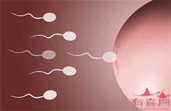 深圳给别人助孕多少钱，深圳试管染色体异常概率是多少，深圳试管多少钱
