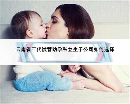 云南省三代试管助孕私立生子公司如何选择