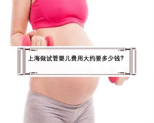 上海做试管婴儿费用大约要多少钱？