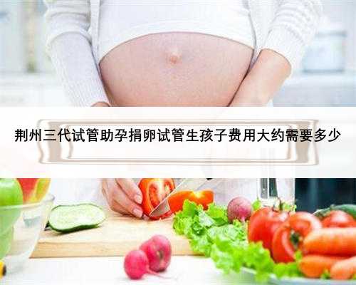 荆州三代试管助孕捐卵试管生孩子费用大约需要多少